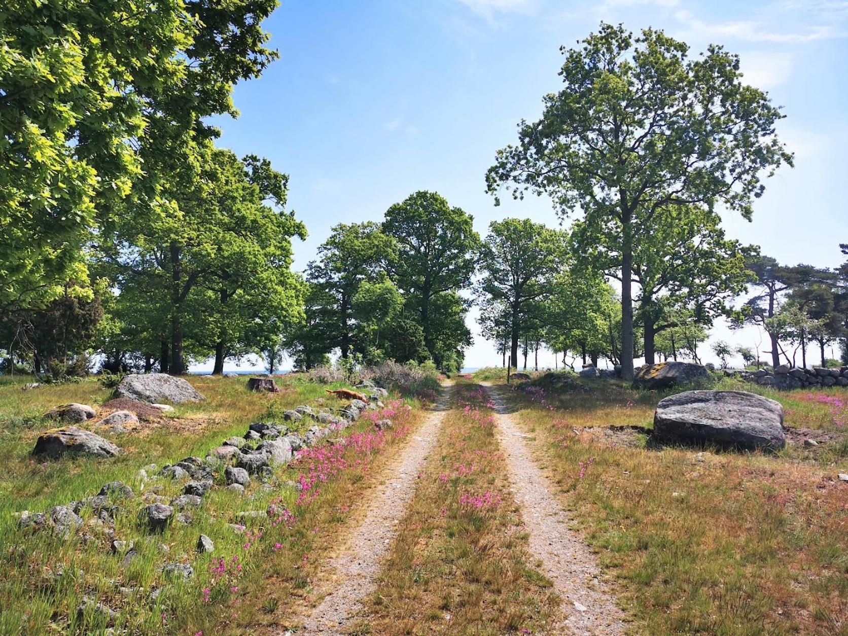 Bond-Gården Villa Fågelmara Buitenkant foto